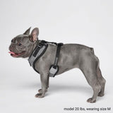 Pettorina per Cani Yogawear - Grigio