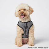 Pettorina per Cani Yogawear - Grigio