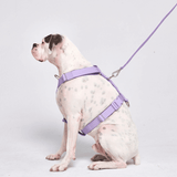 Pettorina per cani Comfort Control No-Pull - Lilla