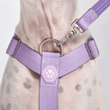 Pettorina per cani Comfort Control No-Pull - Lilla
