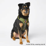 Pettorina per Cani Yogawear - Verde