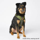 Pettorina per Cani Yogawear - Verde
