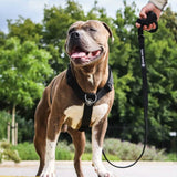 Set di imbracatura per cani Comfort Control No-Pull - Nero