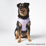 Pettorina per Cani Yogawear - Lilla