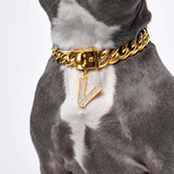 Ciondolo Lettera Iniziale - V