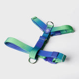 Pettorina per cani Comfort Control No-Pull - Lime Wave