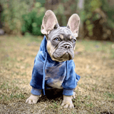 Maglione in Velluto per Umani - Blu Zaffiro