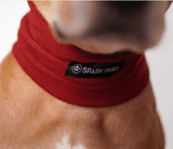 Protettore per Cuffie per Orecchie Calmanti Antiansia per Cani - Rosso