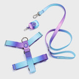 Set di imbracatura per cani Comfort Control No-Pull - 90s Retro