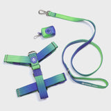 Set di imbracatura per cani Comfort Control No-Pull - Lime Wave