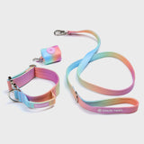 Set di collari tattici per cani - Glassa pastello