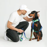 Pettorina per cani Comfort Control No-Pull - Lime Wave