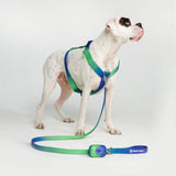 Pettorina per cani Comfort Control No-Pull - Lime Wave