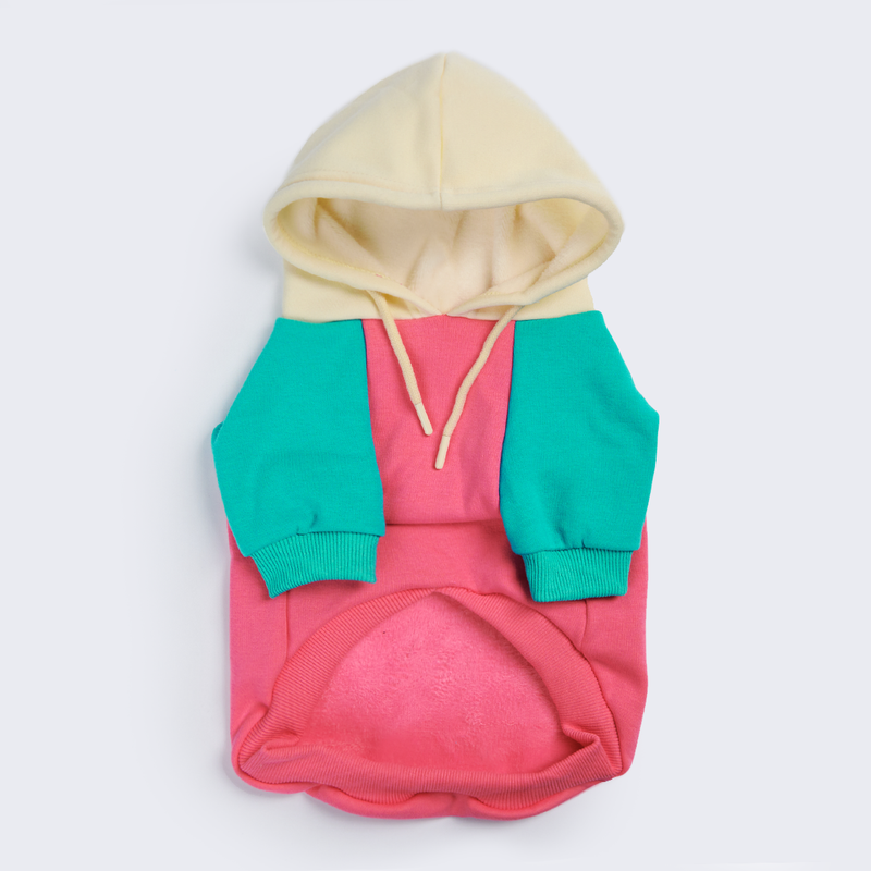 Color Block Dog Hoodies