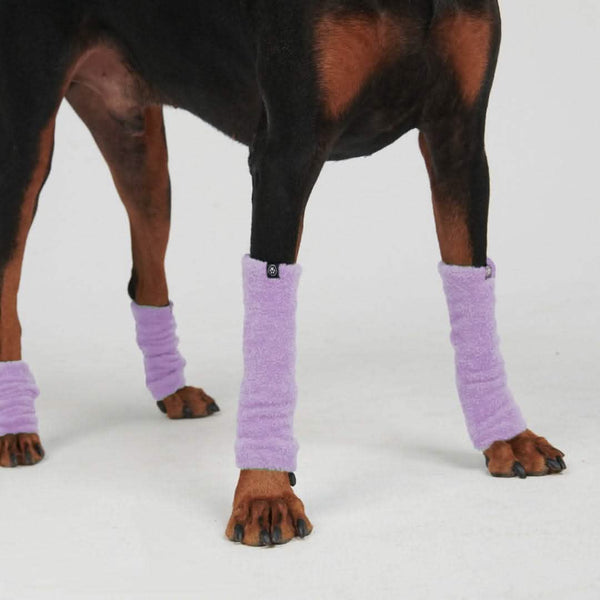 Leg Warmer and Earmuff Protector Set - Purple