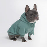 Felpa con cappuccio Essential Dog - Verde acqua