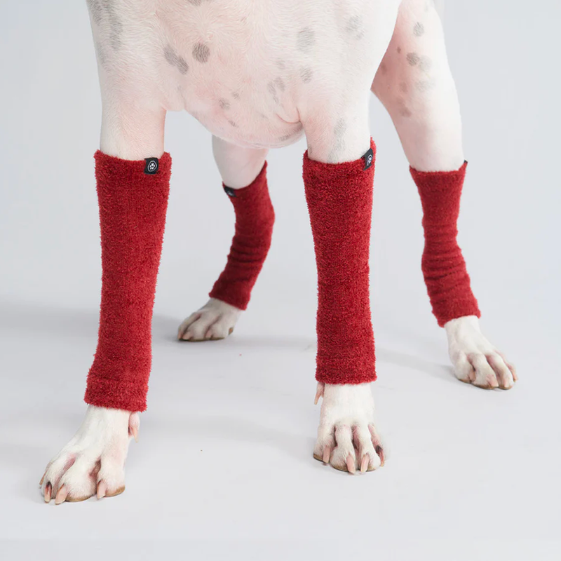 Leg Warmer and Earmuff Protector Set - Red