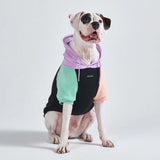 Maglione per Cani - Cyberpunk