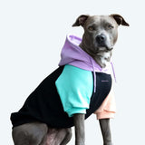 Maglione per Cani - Cyberpunk