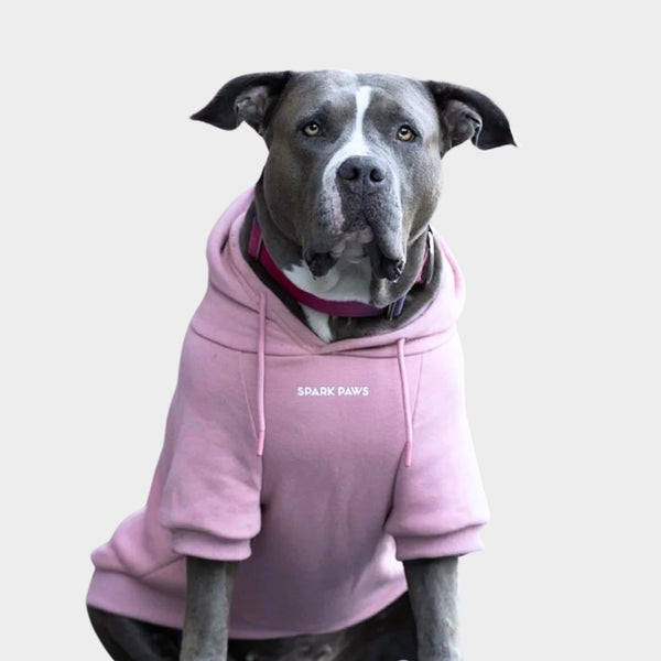 Maglione Essenziale per Cani - Lilla Talpa