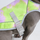 Gilet di raffreddamento per cani - Cono di neve
