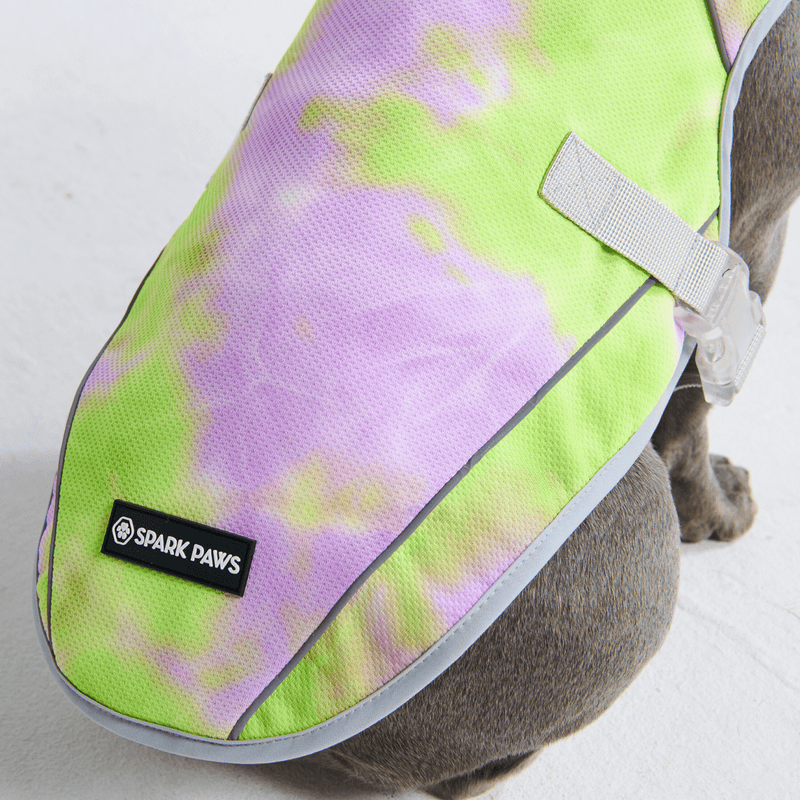 Gilet Di Raffreddamento Per Cani - Leggero, Traspirante, Protezione UV, Con Striscia Riflettente, Per Estate E Sole - Foto 11