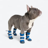 Stivali per cani Flex Shell resistenti all'acqua - Camo Blu