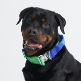 Set di collari tattici per cani - Lime Wave