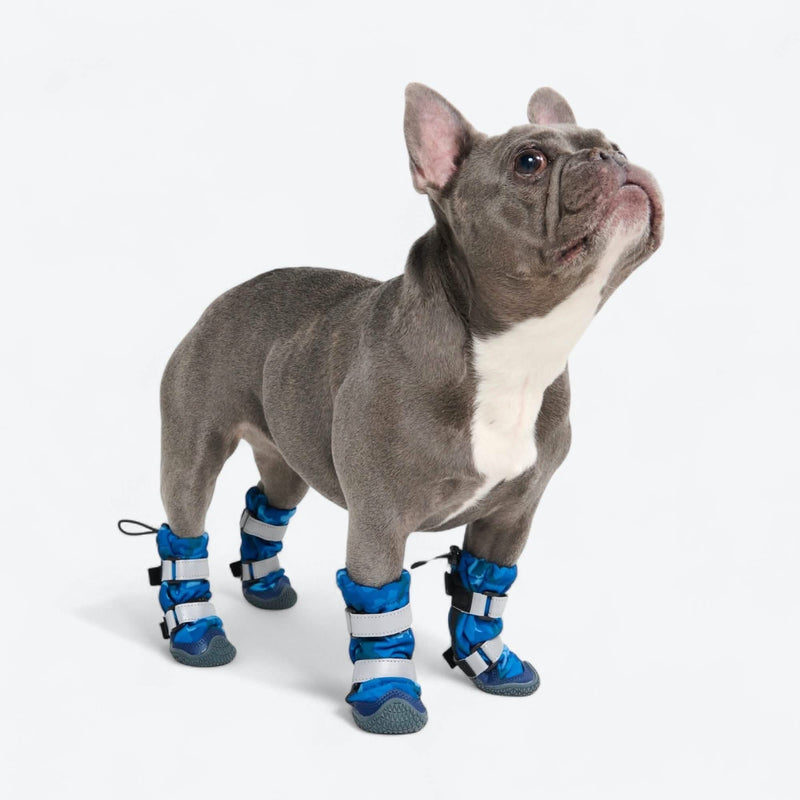 Stivali per cani Flex Shell resistenti all'acqua - Camo Blu