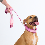 Pink Martingale Collar||size:C,D,E