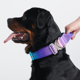 Collare tattico per cani - 90s Retro