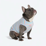 Blue Coral Stripe Shirt