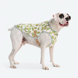 Gilet rinfrescante per cani - Kiwi