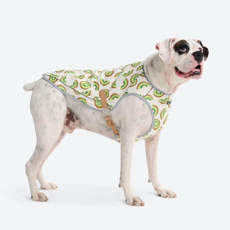 Gilet rinfrescante per cani - Kiwi