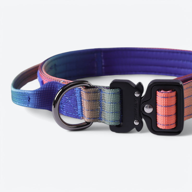 Set di collari tattici per cani - Caleidoscopio