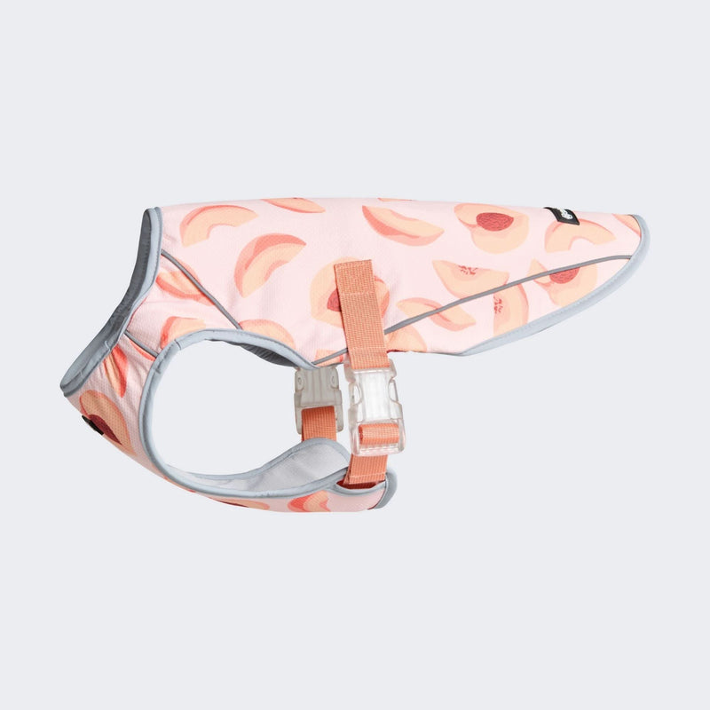 Gilet rinfrescante per cani - Pesche