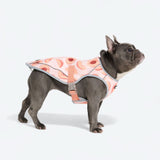 Gilet rinfrescante per cani - Pesche
