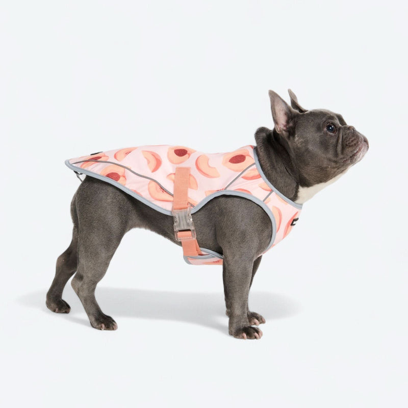 Gilet rinfrescante per cani - Pesche