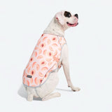 Gilet rinfrescante per cani - Pesche