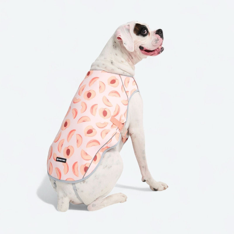 Gilet rinfrescante per cani - Pesche