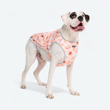 Gilet rinfrescante per cani - Pesche