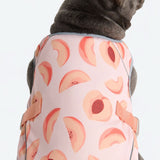 Gilet rinfrescante per cani - Pesche