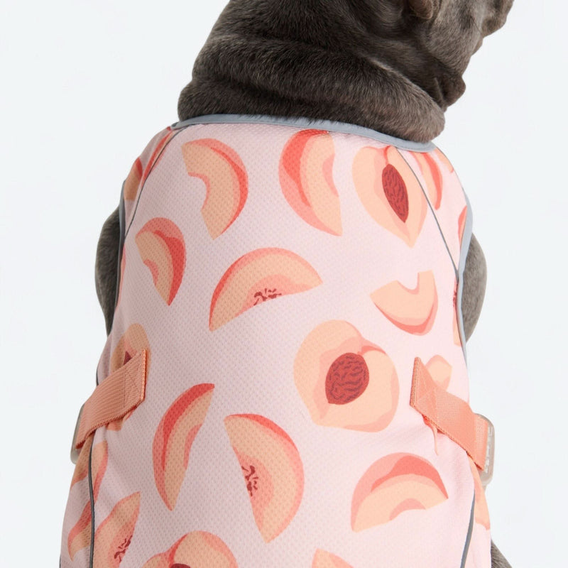 Gilet rinfrescante per cani - Pesche