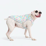 Gilet rinfrescante per cani - Ghiaccioli