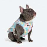 Gilet rinfrescante per cani - Ghiaccioli