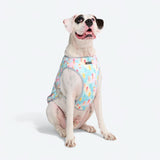 Gilet rinfrescante per cani - Ghiaccioli