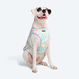 Popsicle Cooling Vest