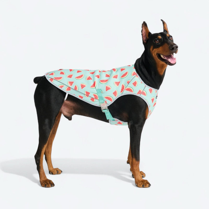 Gilet rinfrescante per cani - Anguria