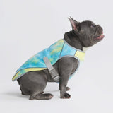 Gilet di raffreddamento per cani - Tempesta tropicale