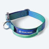 Set di collari tattici per cani - Lime Wave